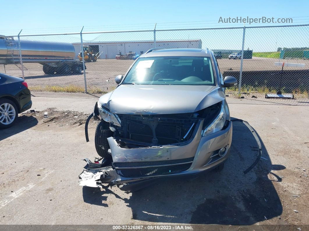 2010 Volkswagen Tiguan Wolfsburg Gray vin: WVGBV7AX7AW514484