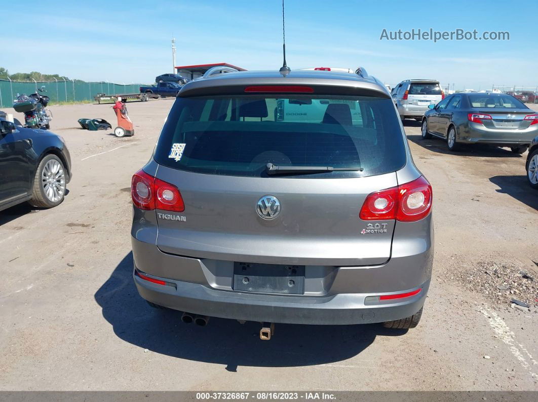 2010 Volkswagen Tiguan Wolfsburg Gray vin: WVGBV7AX7AW514484