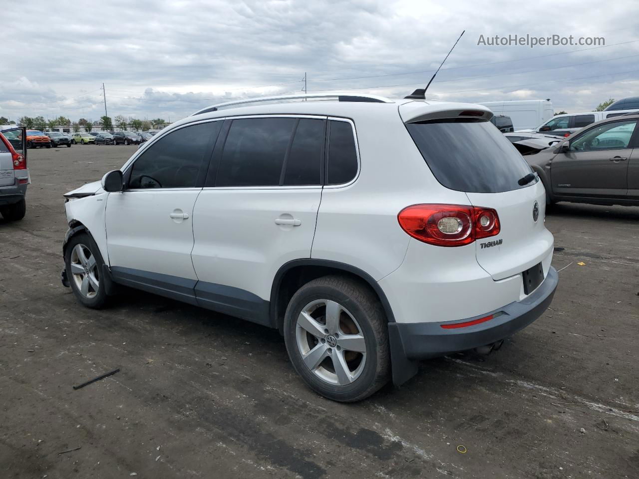 2010 Volkswagen Tiguan Se Белый vin: WVGBV7AX7AW528563