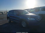 2010 Volkswagen Tiguan S Blue vin: WVGBV7AX8AW003317