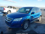 2010 Volkswagen Tiguan S Blue vin: WVGBV7AX8AW003317