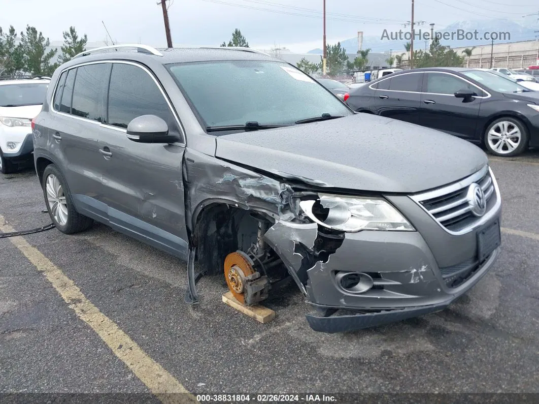 2010 Volkswagen Tiguan Wolfsburg Edition Gray vin: WVGBV7AX8AW516678