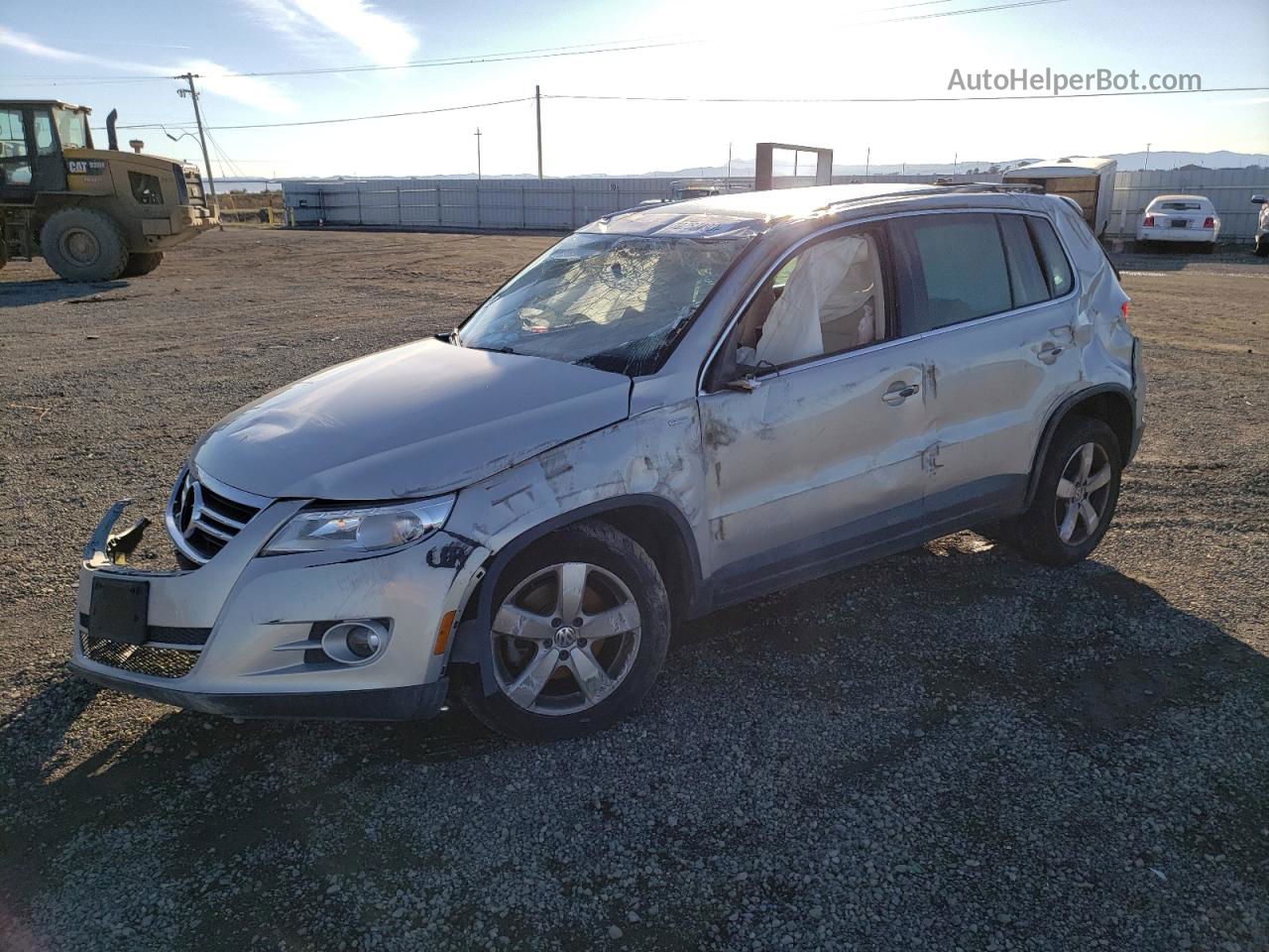 2010 Volkswagen Tiguan Se Silver vin: WVGBV7AX8AW524277