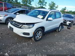 2016 Volkswagen Tiguan S Белый vin: WVGBV7AX8GK000241