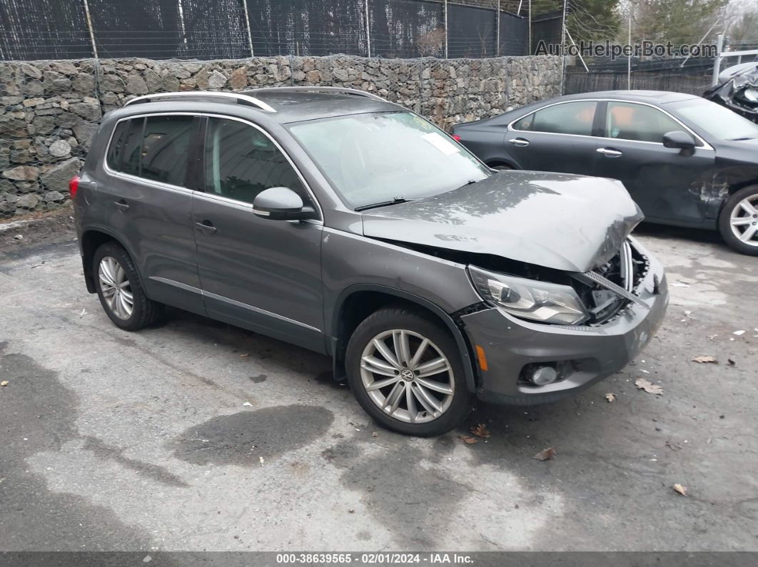 2016 Volkswagen Tiguan Se Gray vin: WVGBV7AX8GW537121