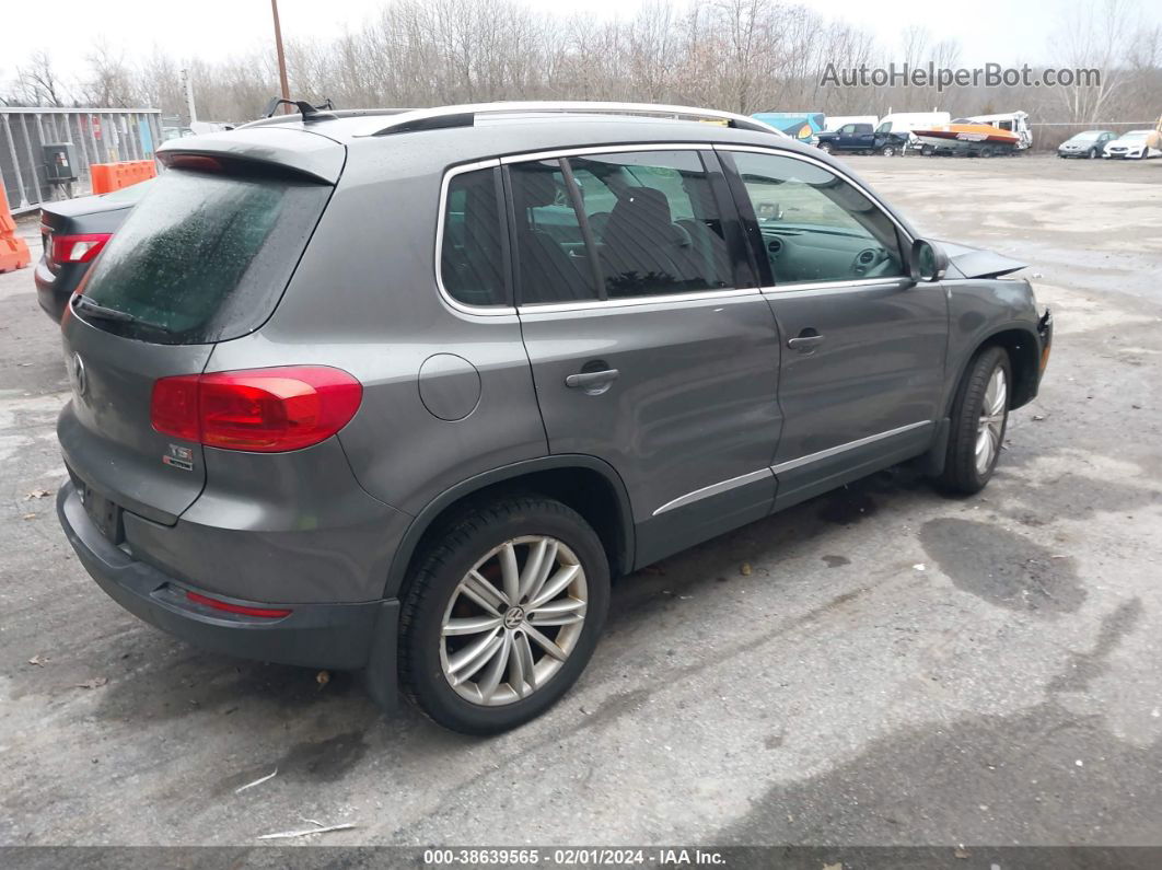 2016 Volkswagen Tiguan Se Gray vin: WVGBV7AX8GW537121