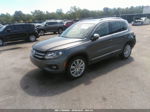 2016 Volkswagen Tiguan Se Gray vin: WVGBV7AX8GW557921