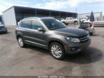 2016 Volkswagen Tiguan Se Gray vin: WVGBV7AX8GW557921