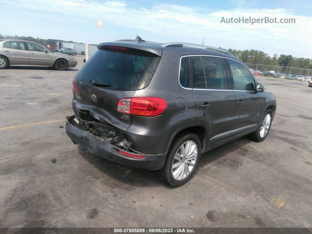 2016 Volkswagen Tiguan Se Gray vin: WVGBV7AX8GW557921