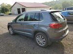 2016 Volkswagen Tiguan S Серый vin: WVGBV7AX8GW561435