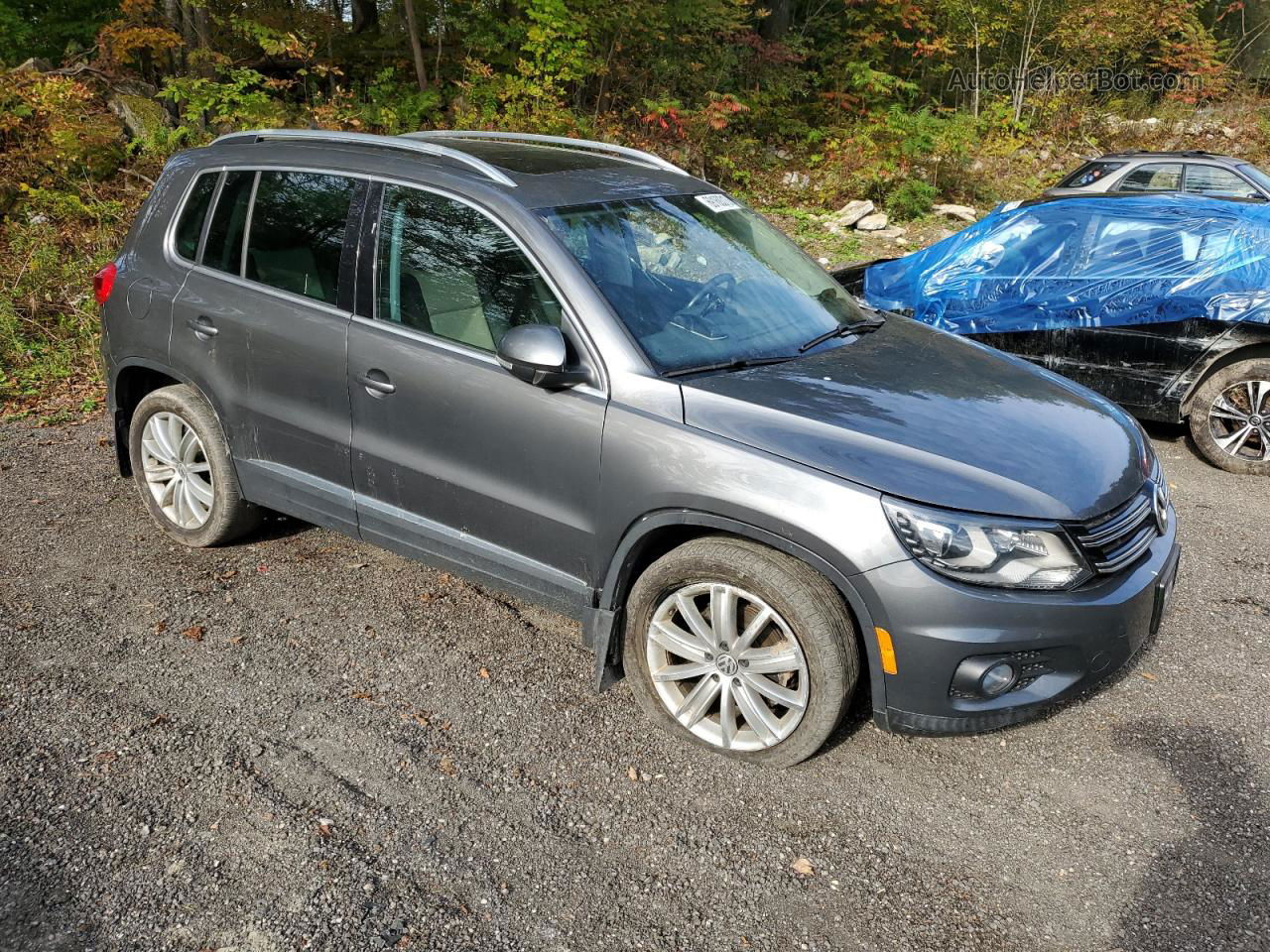 2016 Volkswagen Tiguan S Серый vin: WVGBV7AX8GW561435