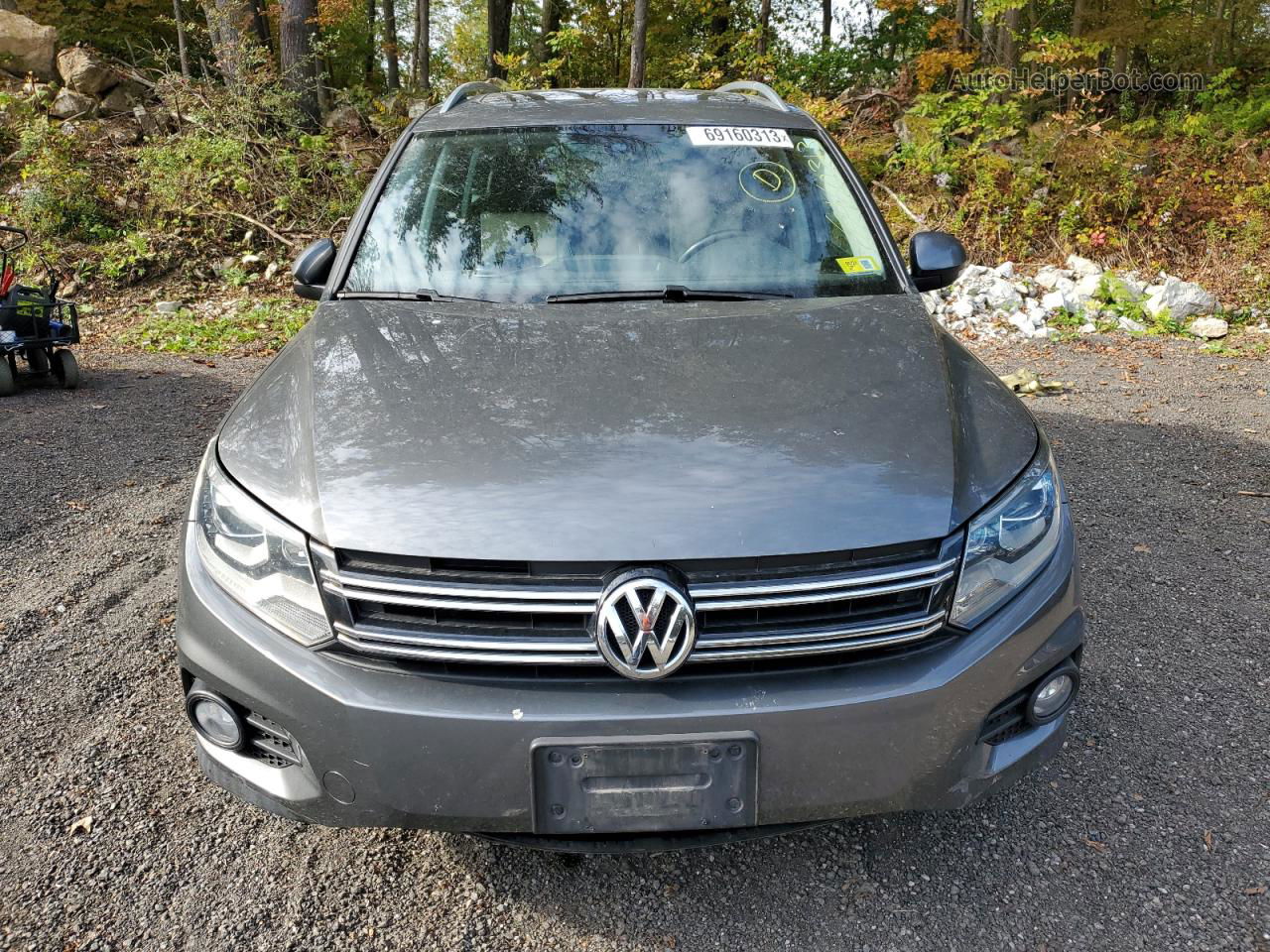 2016 Volkswagen Tiguan S Gray vin: WVGBV7AX8GW561435