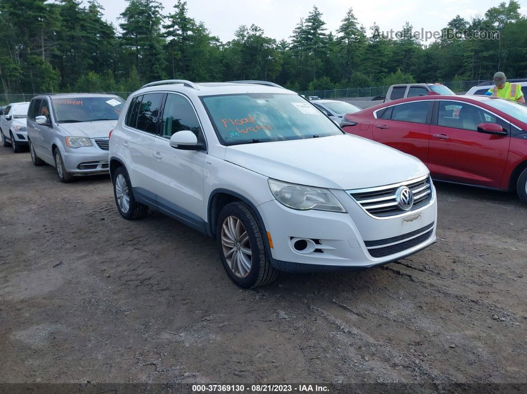 2010 Volkswagen Tiguan Wolfsburg White vin: WVGBV7AX9AW513322