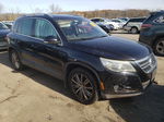 2010 Volkswagen Tiguan Se Black vin: WVGBV7AX9AW522862