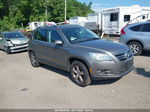 2010 Volkswagen Tiguan Wolfsburg Edition Gray vin: WVGBV7AX9AW525275