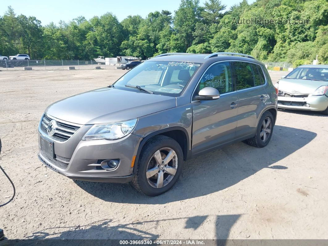 2010 Volkswagen Tiguan Wolfsburg Edition Gray vin: WVGBV7AX9AW525275