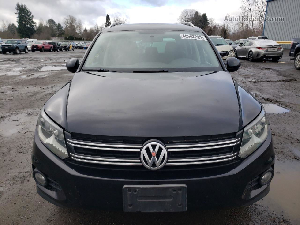 2013 Volkswagen Tiguan S Black vin: WVGBV7AX9DW540024