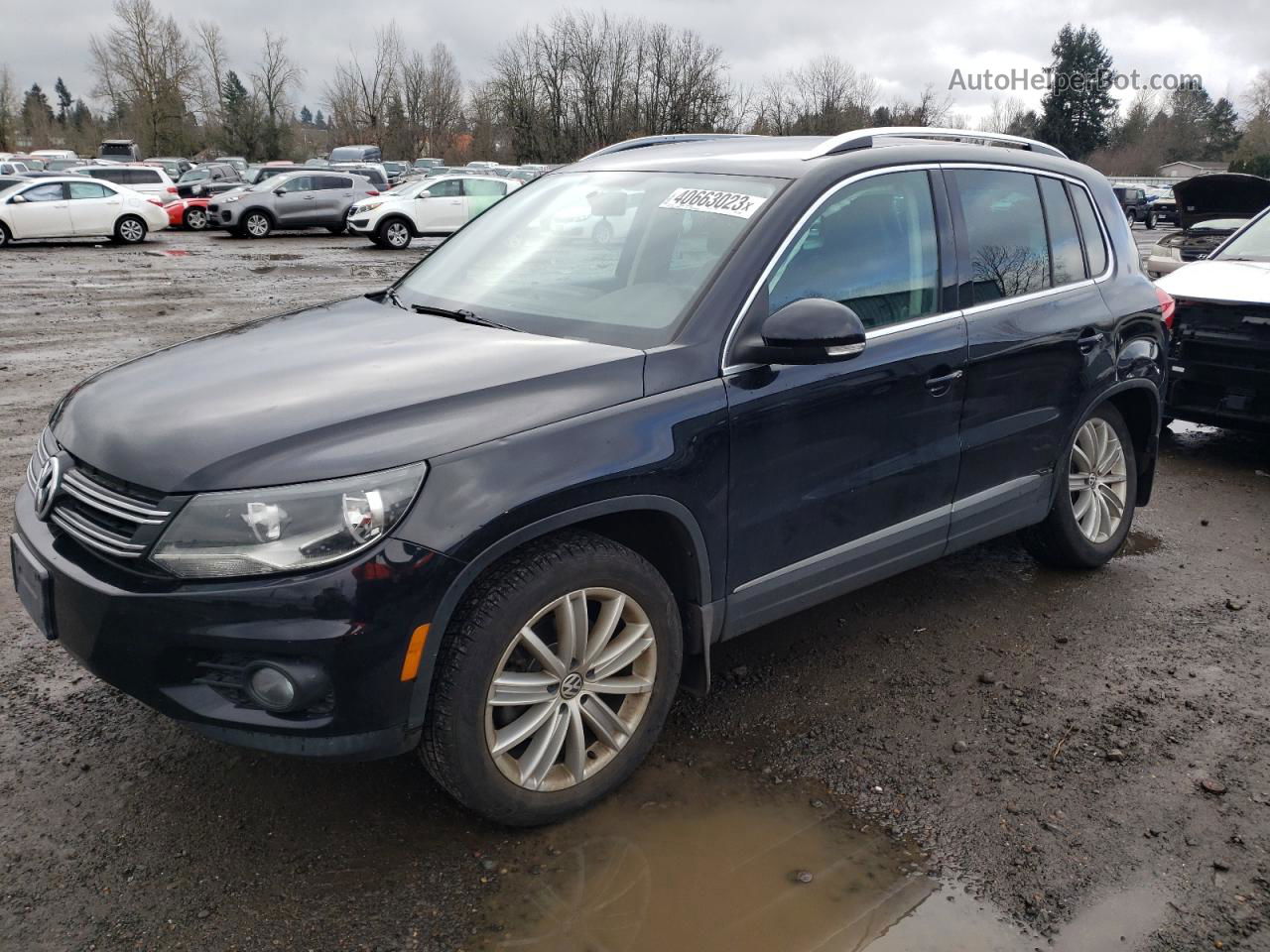 2013 Volkswagen Tiguan S Black vin: WVGBV7AX9DW540024