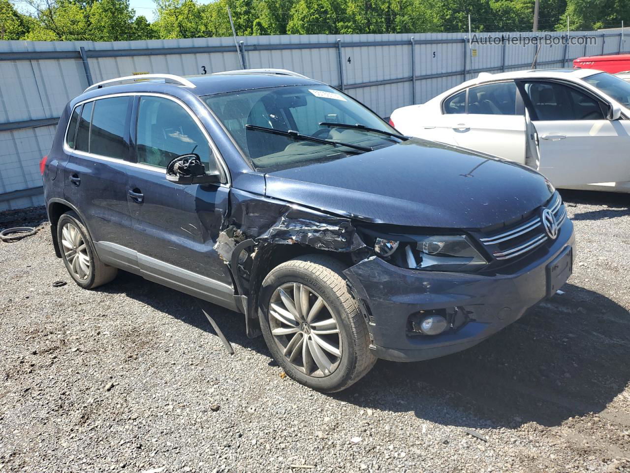 2013 Volkswagen Tiguan S Blue vin: WVGBV7AX9DW542369