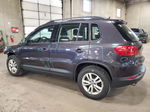 2016 Volkswagen Tiguan S Blue vin: WVGBV7AX9GW540058