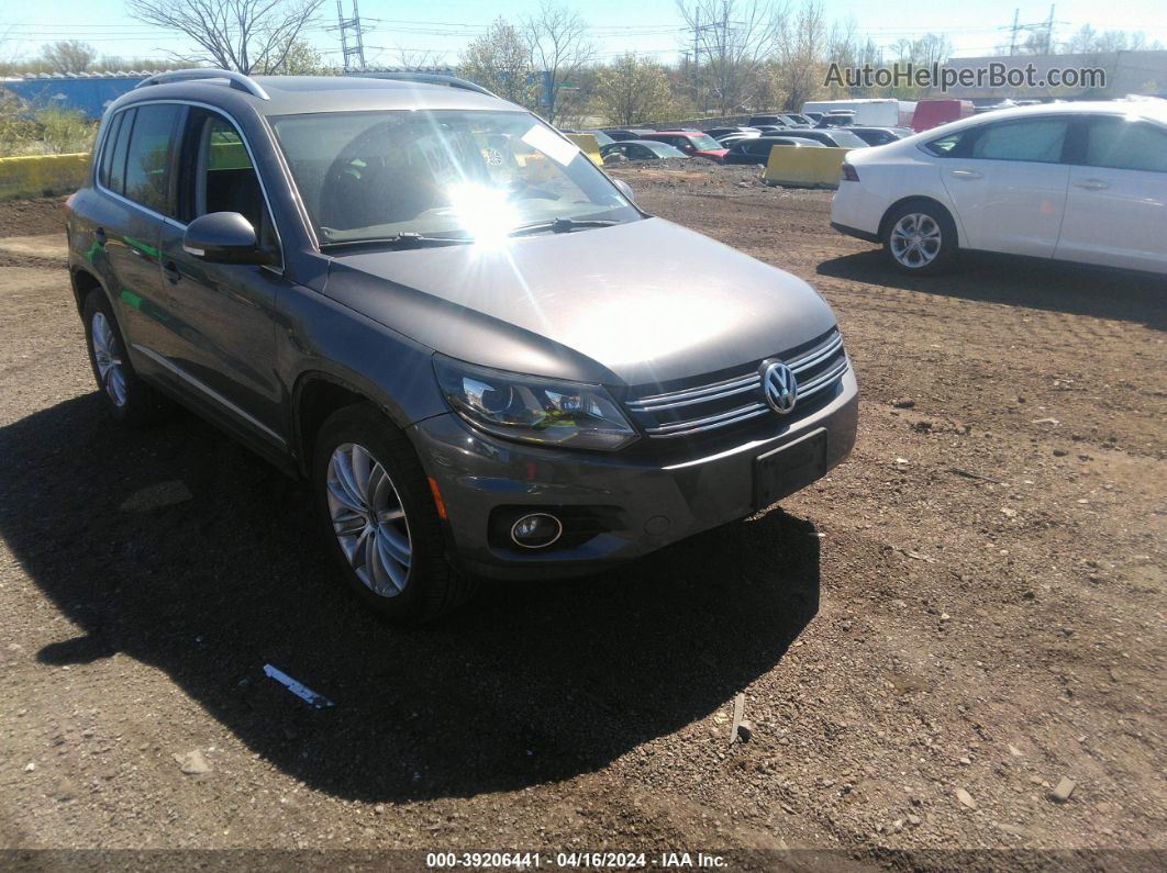 2016 Volkswagen Tiguan Sel Серый vin: WVGBV7AX9GW554316