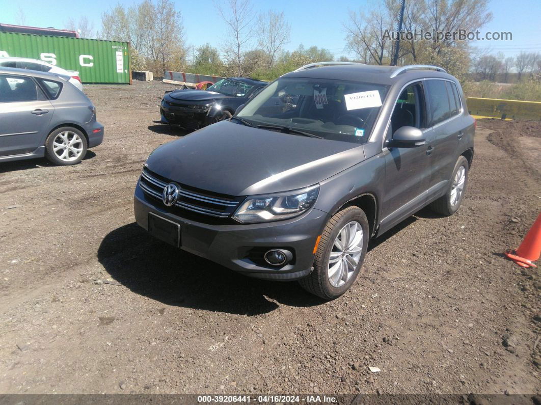 2016 Volkswagen Tiguan Sel Gray vin: WVGBV7AX9GW554316