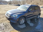 2016 Volkswagen Tiguan S Blue vin: WVGBV7AX9GW576140