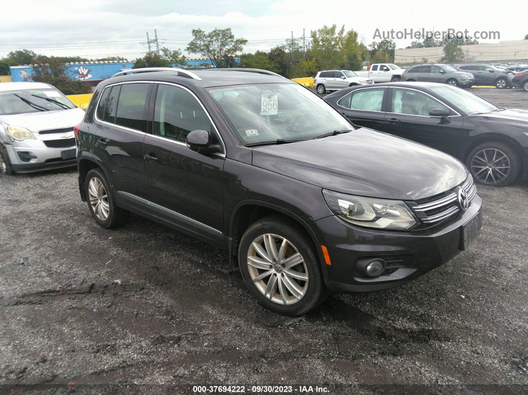 2016 Volkswagen Tiguan Se Purple vin: WVGBV7AX9GW607807