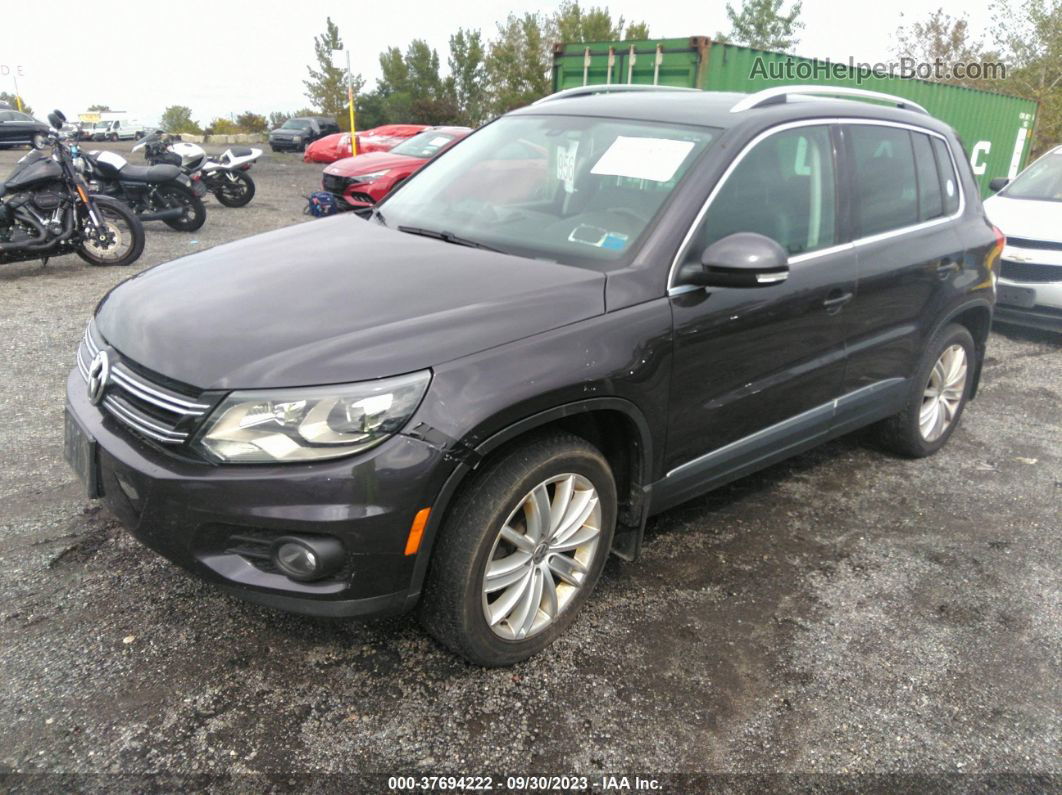 2016 Volkswagen Tiguan Se Purple vin: WVGBV7AX9GW607807