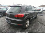 2016 Volkswagen Tiguan Se Purple vin: WVGBV7AX9GW607807