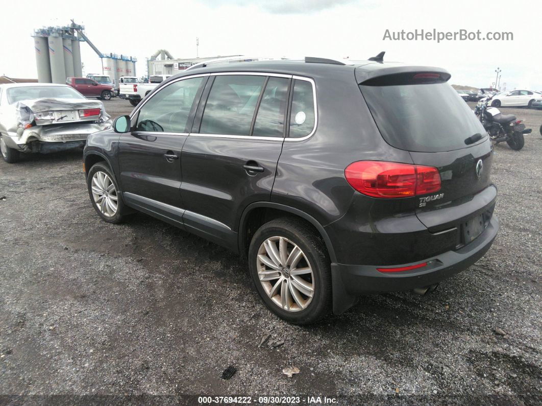 2016 Volkswagen Tiguan Se Purple vin: WVGBV7AX9GW607807