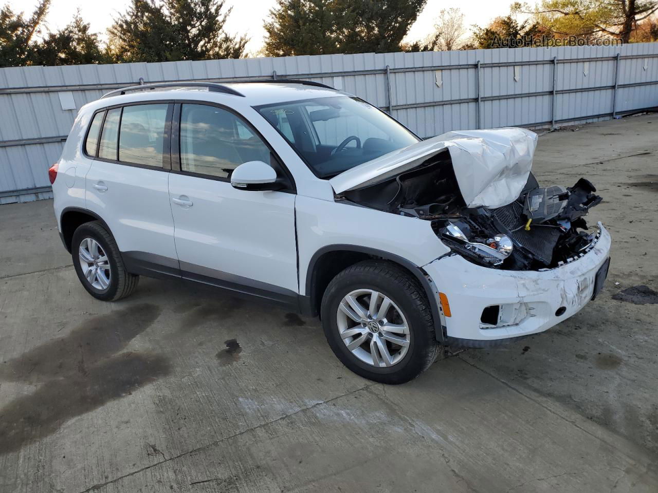 2017 Volkswagen Tiguan S White vin: WVGBV7AX9HK012285