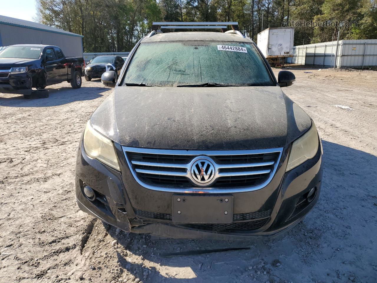 2010 Volkswagen Tiguan Se Black vin: WVGBV7AXXAW501860