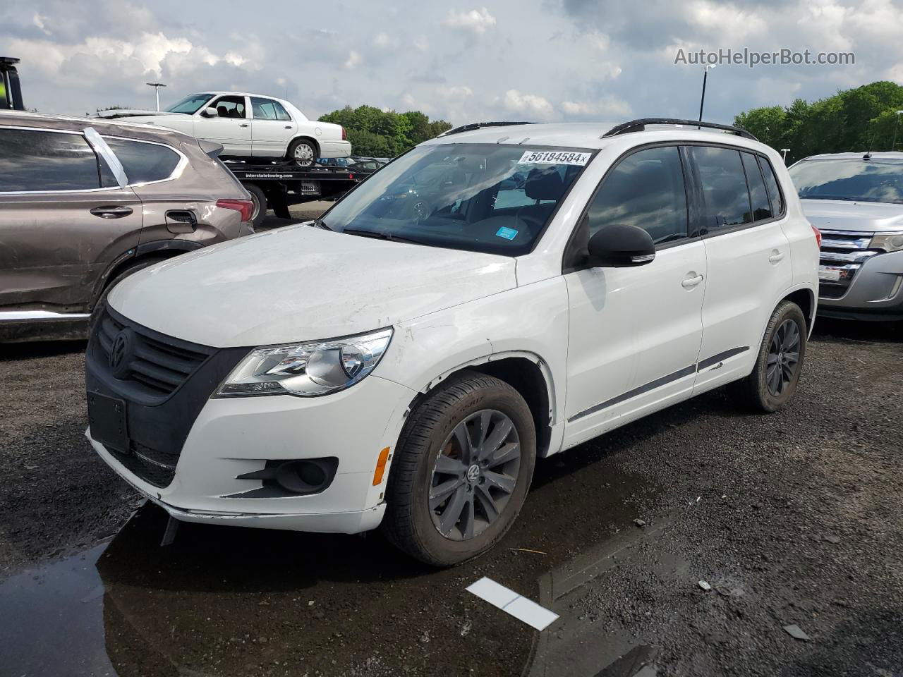 2010 Volkswagen Tiguan Se White vin: WVGBV7AXXAW523468