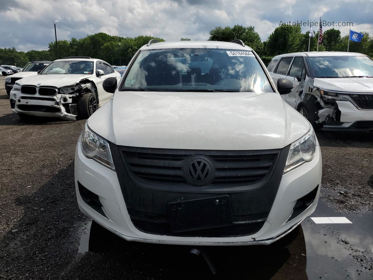 2010 Volkswagen Tiguan Se Белый vin: WVGBV7AXXAW523468