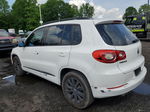 2010 Volkswagen Tiguan Se Белый vin: WVGBV7AXXAW523468