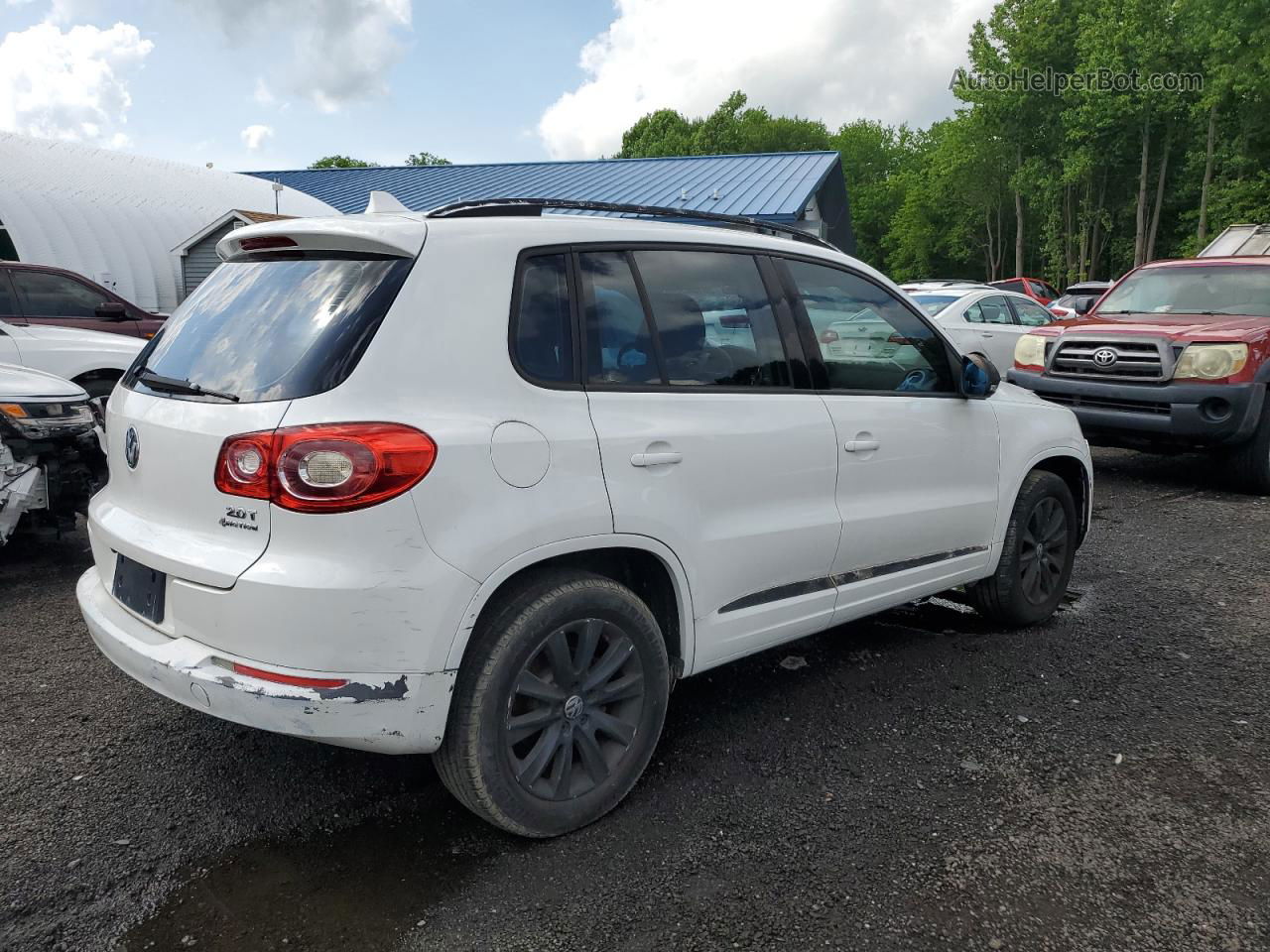 2010 Volkswagen Tiguan Se Белый vin: WVGBV7AXXAW523468