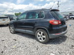 2010 Volkswagen Tiguan Se Black vin: WVGBV7AXXAW525320