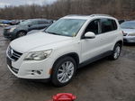 2010 Volkswagen Tiguan Se White vin: WVGBV7AXXAW530551