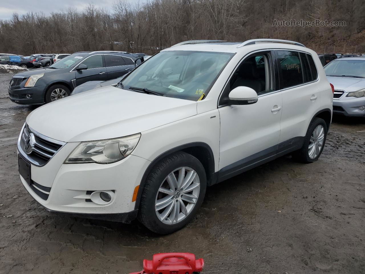 2010 Volkswagen Tiguan Se White vin: WVGBV7AXXAW530551