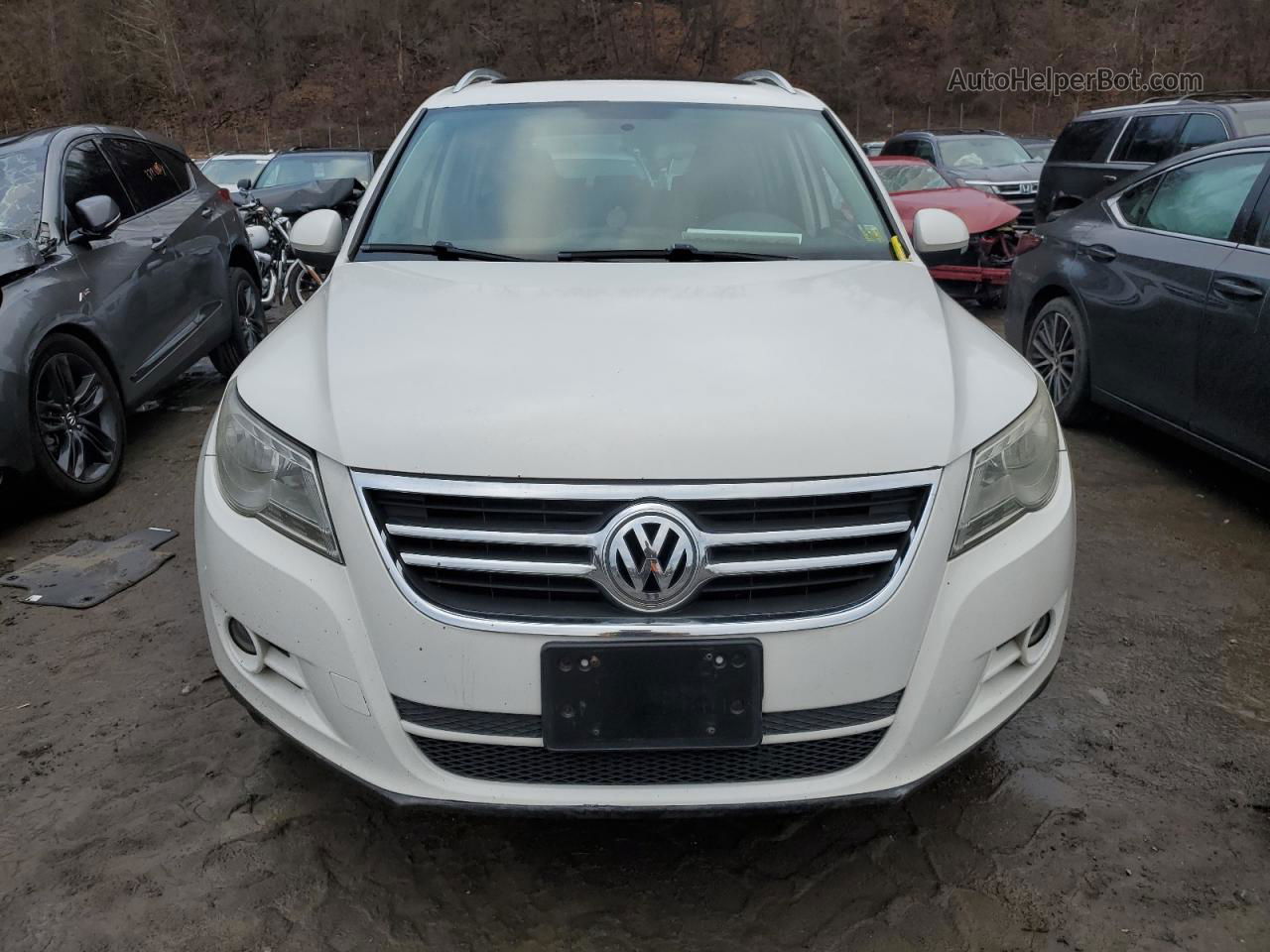 2010 Volkswagen Tiguan Se White vin: WVGBV7AXXAW530551