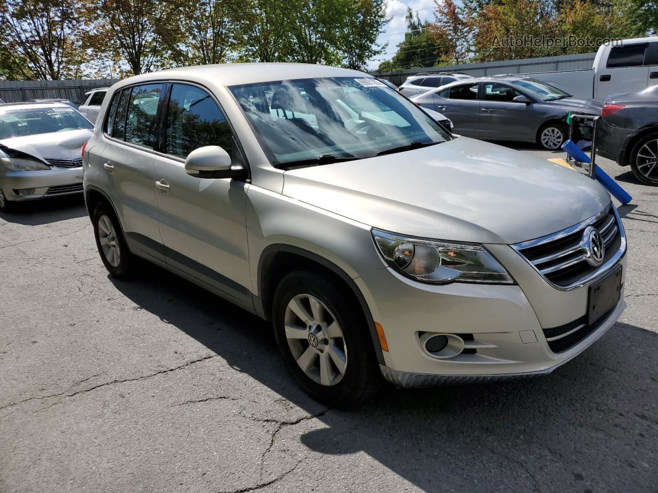 2010 Volkswagen Tiguan Se Silver vin: WVGBV7AXXAW532252