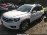 2013 Volkswagen Tiguan Se W/sunroof & Nav White vin: WVGBV7AXXDW537858