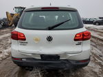 2016 Volkswagen Tiguan S White vin: WVGBV7AXXGW526363