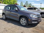 2016 Volkswagen Tiguan S Purple vin: WVGBV7AXXGW564854