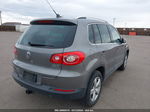 2010 Volkswagen Tiguan Wolfsburg Edition Gray vin: WVGBV9AX3AW531133