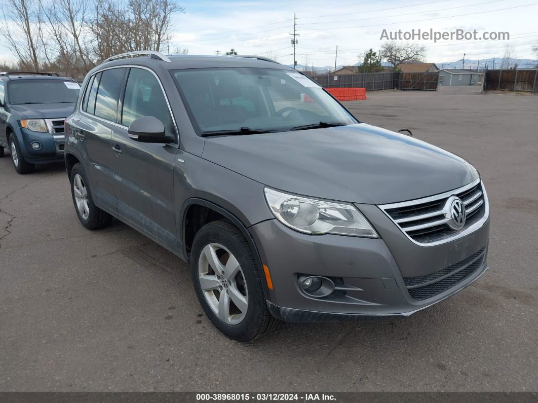 2010 Volkswagen Tiguan Wolfsburg Edition Gray vin: WVGBV9AX3AW531133