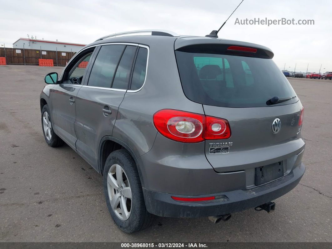 2010 Volkswagen Tiguan Wolfsburg Edition Gray vin: WVGBV9AX3AW531133