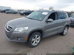 2010 Volkswagen Tiguan Wolfsburg Edition Gray vin: WVGBV9AX3AW531133