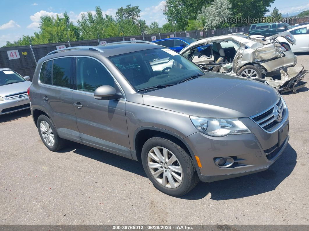 2010 Volkswagen Tiguan Se Gray vin: WVGBV9AX5AW500708